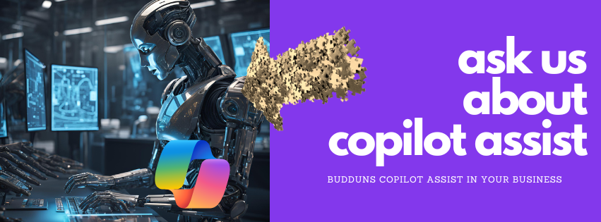 Budduns copilot assistant